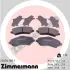 Комплект тормозных колодок, дисковый тормоз ZIMMERMANN 246041801 (фото 1)
