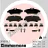 Комплект тормозных колодок, дисковый тормоз ZIMMERMANN 291901952 (фото 1)